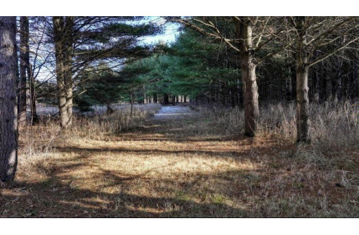 162+/- ACRES Germantown Road, New Lisbon, WI 53950