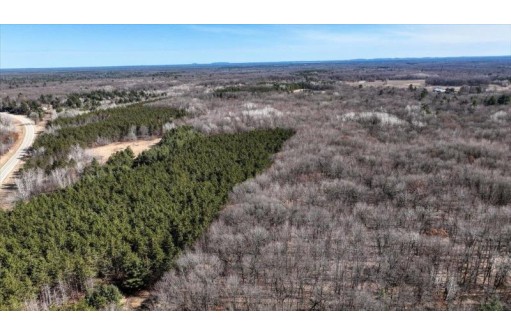 162+/- ACRES Germantown Road, New Lisbon, WI 53950