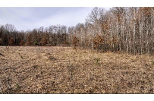 162+/- ACRES Germantown Road, New Lisbon, WI 53950