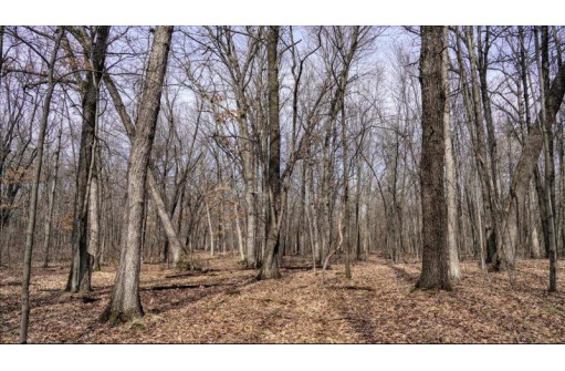 162+/- ACRES Germantown Road, New Lisbon, WI 53950