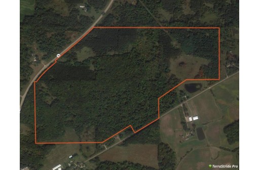 162+/- ACRES Germantown Road, New Lisbon, WI 53950