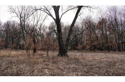 73+/- ACRES Germantown Road, New Lisbon, WI 53950