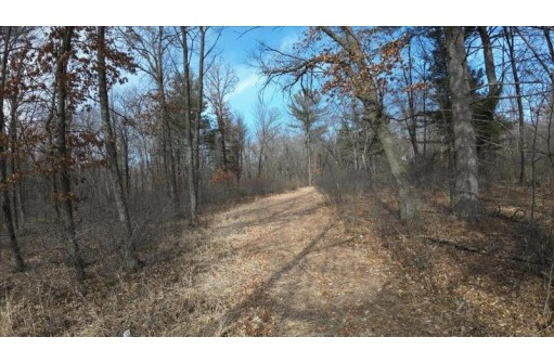 73+/- ACRES Germantown Road, New Lisbon, WI 53950