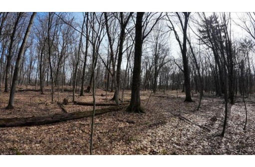 73+/- ACRES Germantown Road, New Lisbon, WI 53950