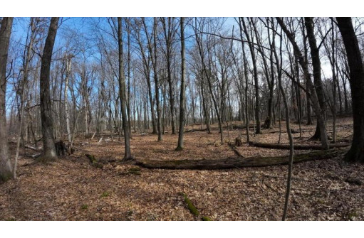 73+/- ACRES Germantown Road, New Lisbon, WI 53950