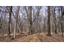 73+/- ACRES Germantown Road, New Lisbon, WI 53950