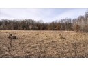 73+/- ACRES Germantown Road, New Lisbon, WI 53950