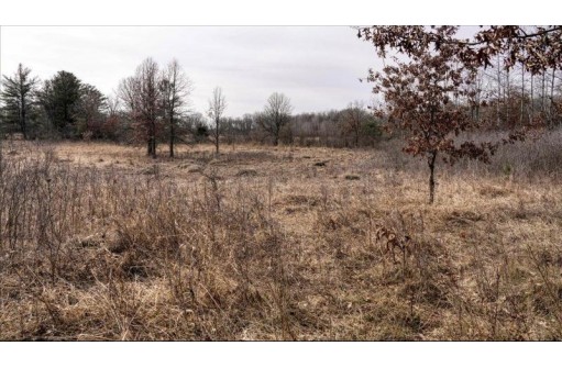 73+/- ACRES Germantown Road, New Lisbon, WI 53950