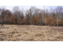 73+/- ACRES Germantown Road, New Lisbon, WI 53950