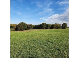 9.58 AC Burr Oak Road Mineral Point, WI 53565