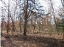 1.6 ACRES Deer Run Road, Montello, WI 53949