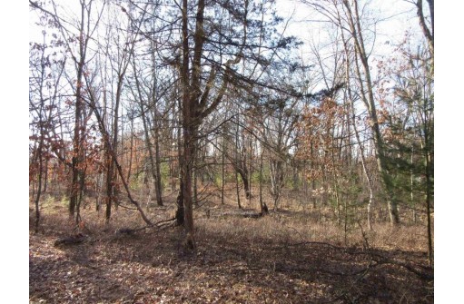 1.6 ACRES Deer Run Road, Montello, WI 53949