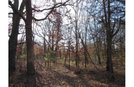 1.6 ACRES Deer Run Road, Montello, WI 53949