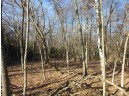 1.6 ACRES Deer Run Road, Montello, WI 53949