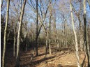 1.6 ACRES Deer Run Road, Montello, WI 53949