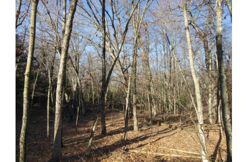 1.6 ACRES Deer Run Road, Montello, WI 53949