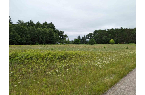 LOT 2 Gale Court, Wisconsin Dells, WI 53965