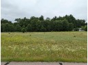 LOT 2 Gale Court, Wisconsin Dells, WI 53965