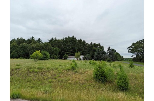 LOT 1 Gale Court, Wisconsin Dells, WI 53965