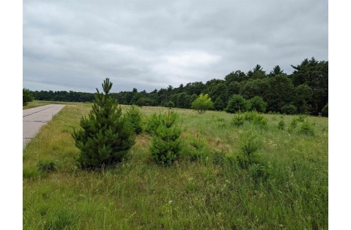 LOT 1 Gale Court, Wisconsin Dells, WI 53965