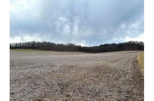 73 +/- ACRES Hidden Springs Lane, Muscoda, WI 53573