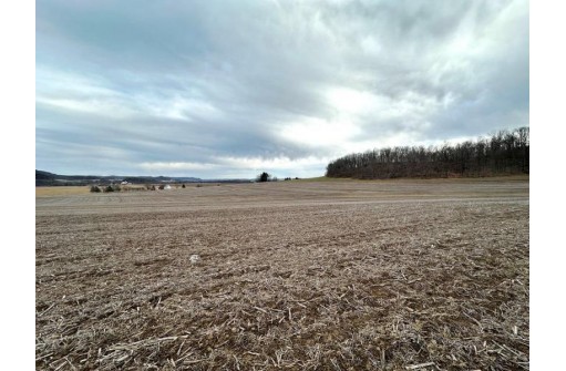 73 +/- ACRES Hidden Springs Lane, Muscoda, WI 53573