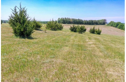 5.3 ACRES Park Ridge Road, Dodgeville, WI 53533