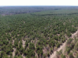 40 AC Akron Nekoosa, WI 54457