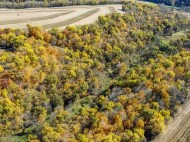 +/- 55 ACRES Porter Hill Road