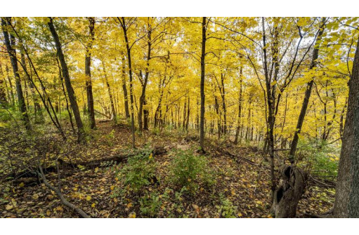 +/- 55 ACRES Porter Hill Road, Lancaster, WI 53813