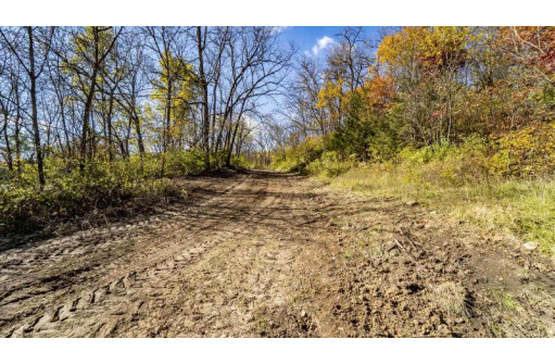 +/- 55 ACRES Porter Hill Road, Lancaster, WI 53813