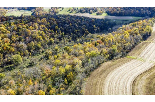 +/- 55 ACRES Porter Hill Road, Lancaster, WI 53813