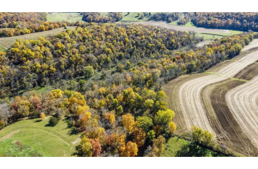 +/- 55 ACRES Porter Hill Road, Lancaster, WI 53813