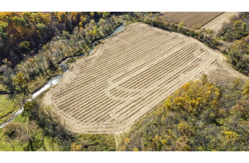 +/- 55 ACRES Porter Hill Road, Lancaster, WI 53813