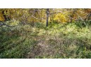 +/- 55 ACRES Porter Hill Road, Lancaster, WI 53813