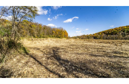 +/- 55 ACRES Porter Hill Road, Lancaster, WI 53813