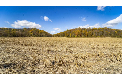 +/- 55 ACRES Porter Hill Road, Lancaster, WI 53813