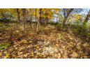 +/-46 ACRES Bee Lane, Lancaster, WI 53813