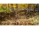 +/-46 ACRES Bee Lane, Lancaster, WI 53813