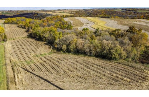 +/-46 ACRES Bee Lane, Lancaster, WI 53813