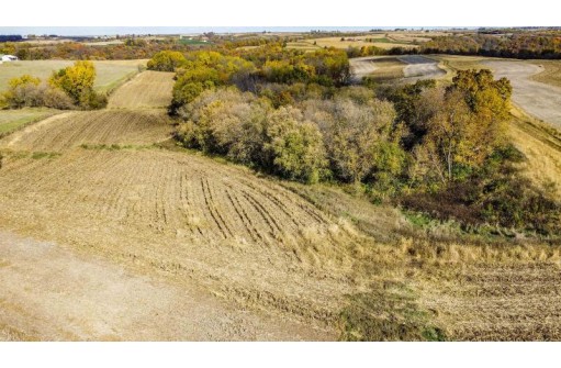 +/-46 ACRES Bee Lane, Lancaster, WI 53813