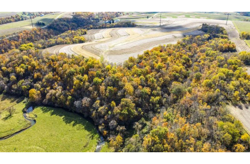 +/-46 ACRES Bee Lane, Lancaster, WI 53813