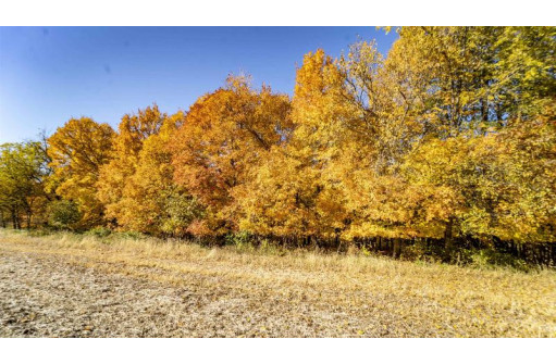 +/-46 ACRES Bee Lane, Lancaster, WI 53813