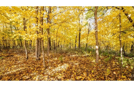 +/-46 ACRES Bee Lane, Lancaster, WI 53813