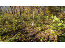 +/-46 ACRES Bee Lane, Lancaster, WI 53813