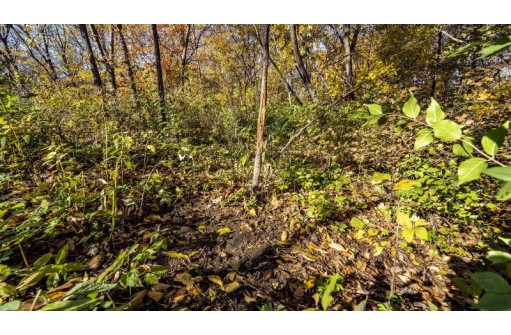 +/-46 ACRES Bee Lane, Lancaster, WI 53813