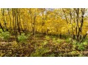 +/-46 ACRES Bee Lane, Lancaster, WI 53813