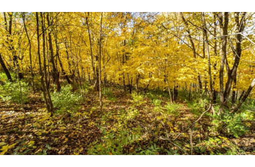 +/-46 ACRES Bee Lane, Lancaster, WI 53813