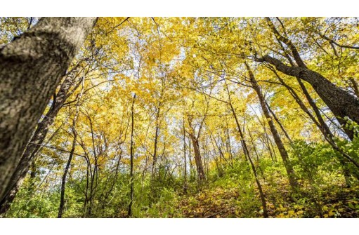 +/-46 ACRES Bee Lane, Lancaster, WI 53813