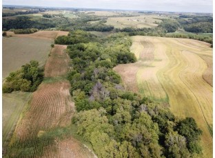 +/-25 ACRES Bee Lane Lancaster, WI 53813